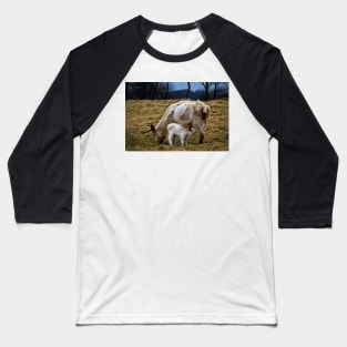 Feeding calf and mother Baseball T-Shirt